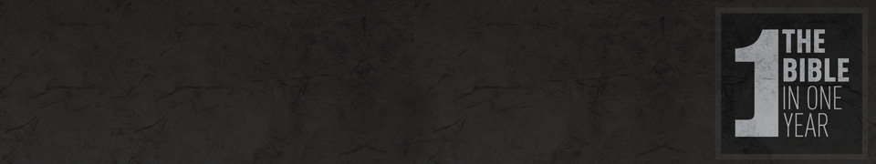 示例：一年中的圣经